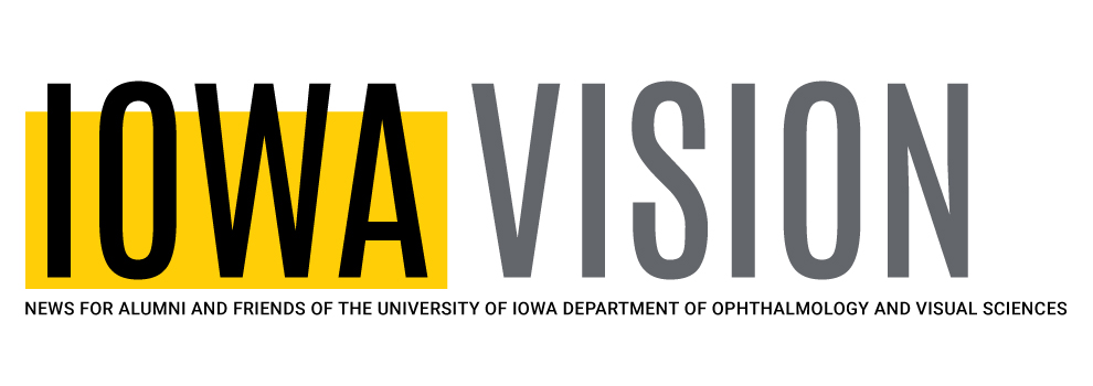 Iowa Vision banner