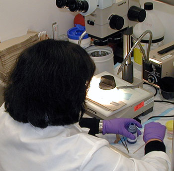 Dr. Syed in Lab