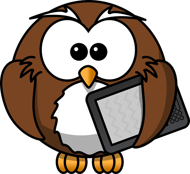Owl with e-reader
