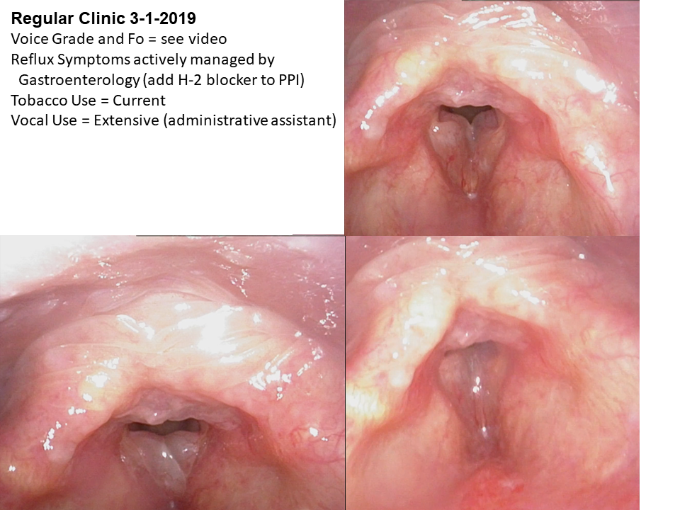 Dysphonia 2019