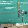 Evaluation and Equipment Set Up