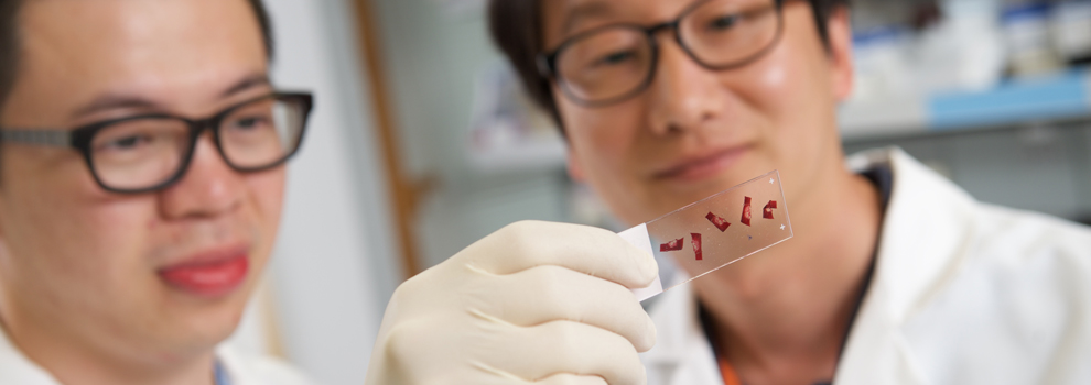 Lab photo