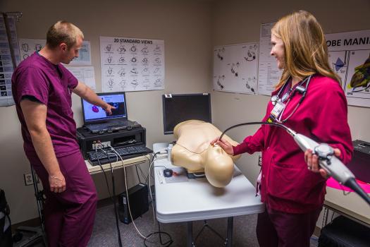 Anesthesia residents work with a TEE simulator