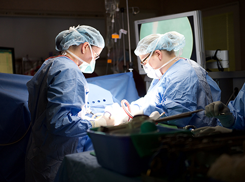 Surgery Vascular Fellowship