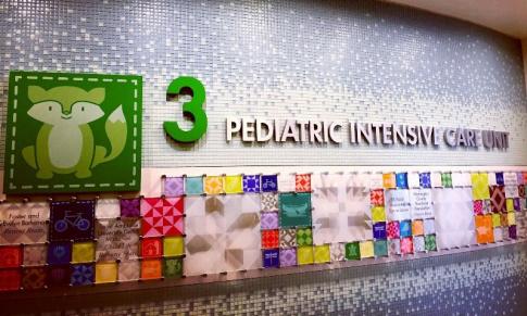 pediatric medicine fellowship