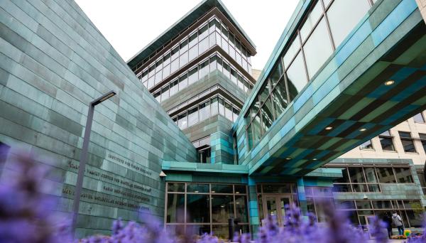 Flowers bloom beneath MERF and the skywalk on the Carver College of Medicine campus on Saturday, April 20, 2024.