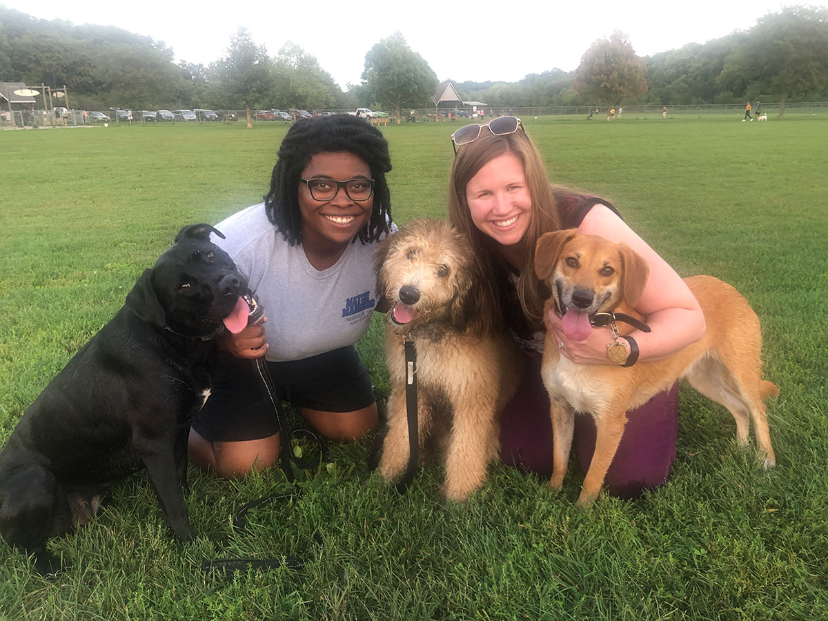 three dogs at the dog park photo